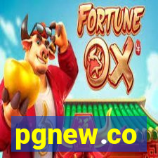 pgnew.co