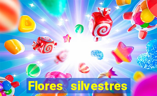 Flores silvestres brasileiras 25