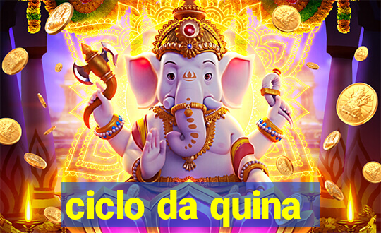 ciclo da quina