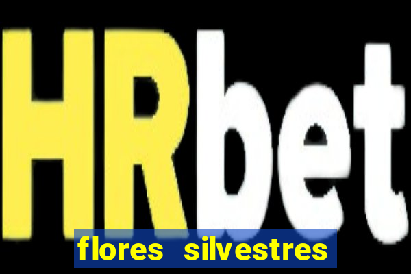 flores silvestres desbravadores desbravadores 25 flores silvestres e seus nomes