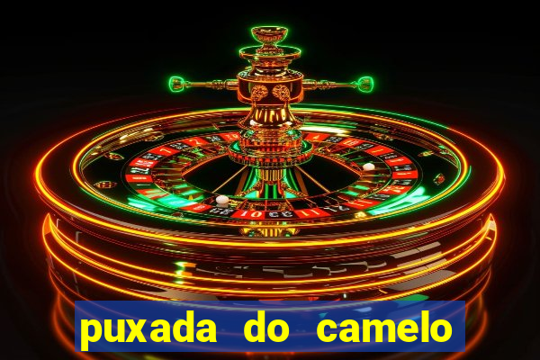 puxada do camelo no jogo do bicho