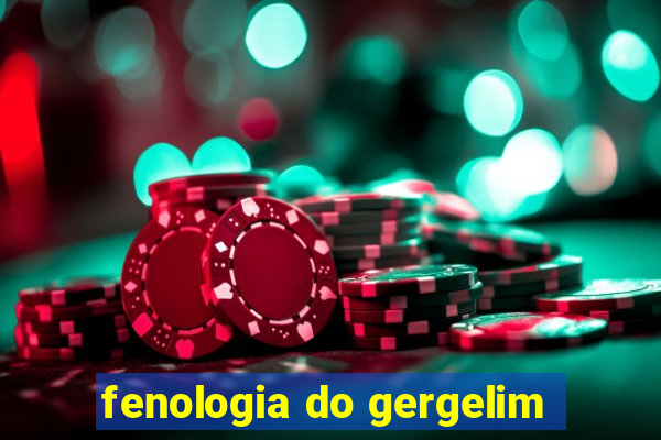 fenologia do gergelim